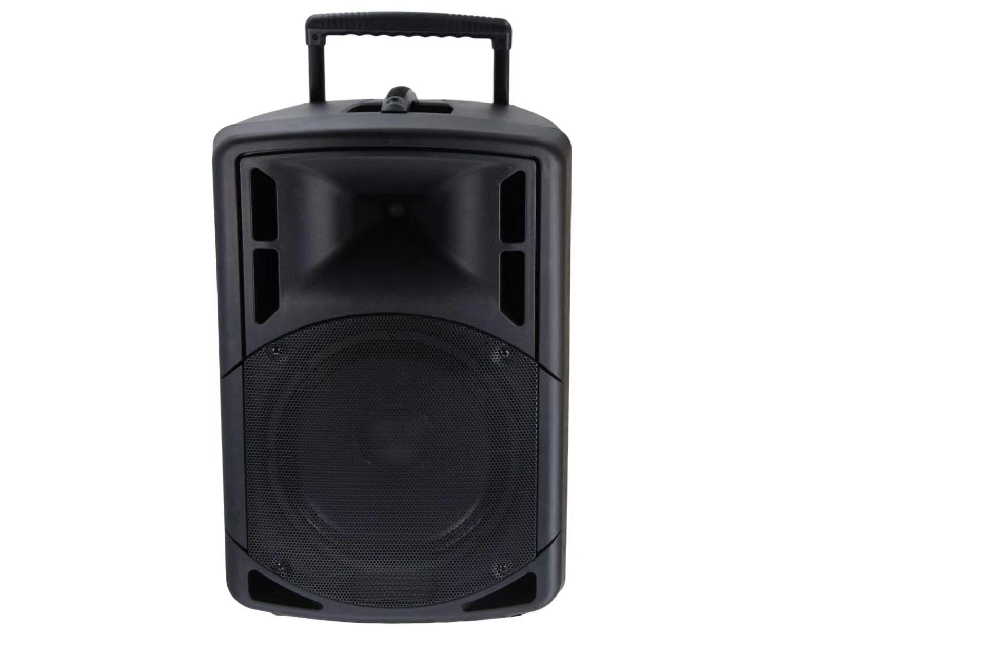 12 Inch 2-Way D-Class Bluetooth Portable Speaker with Two Wireless Microphones