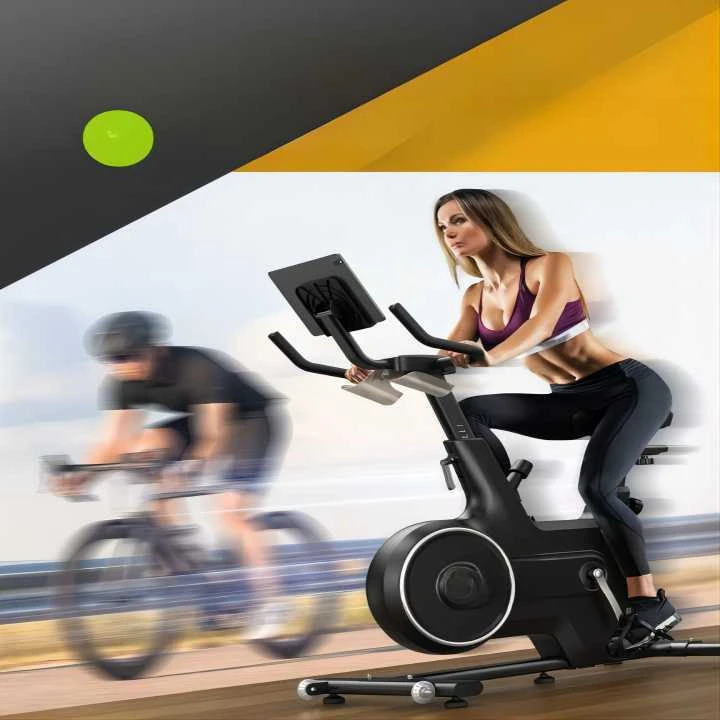 Indoor Cycling Exercise Gym Balance Magnetic Resistance Bluetooth Stationary iPad Holder Bike