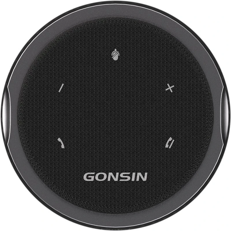 Intelligent Noise-Canceling Remote Video Scene Array Microphone